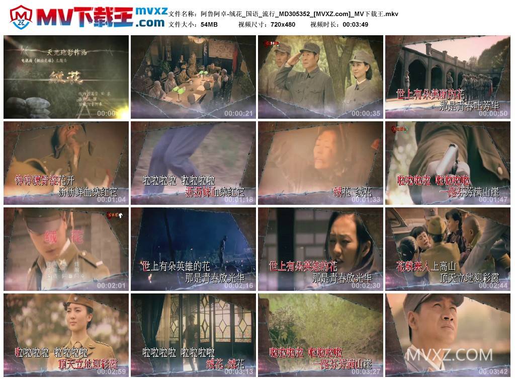 阿鲁阿卓-绒花_国语_流行_MD305352